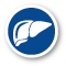 Hepatocellular Carcinoma